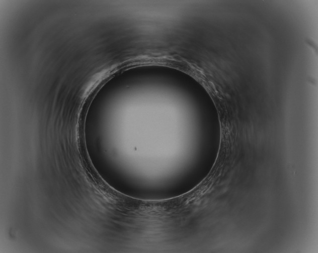 X0000091560340200709071132