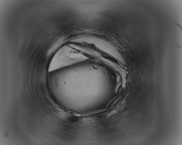 X0000091560341200709071132