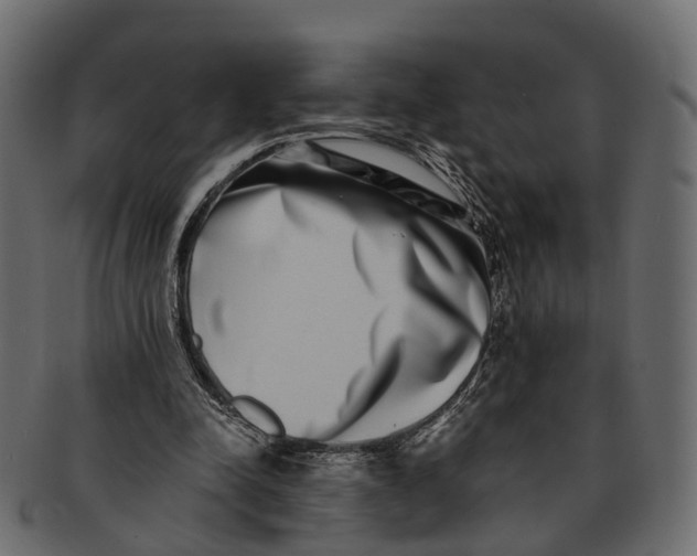 X0000091560342200709071132