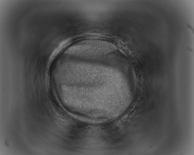 X0000091560343200709071132