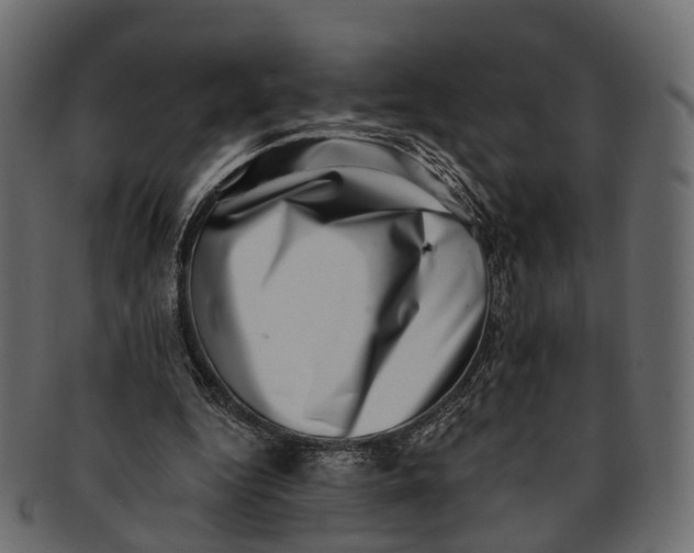 X0000091560344200709071132