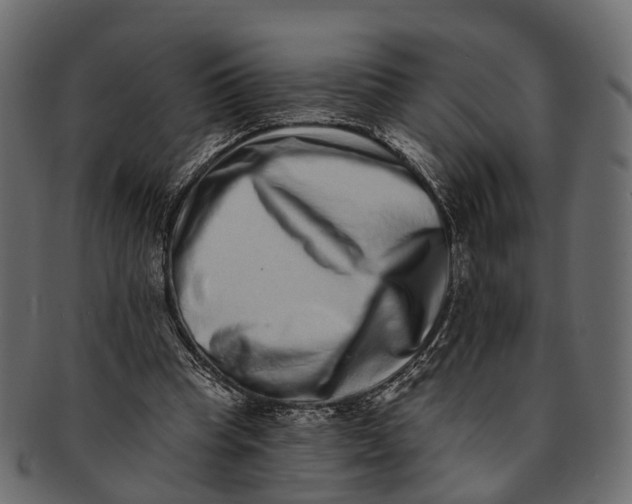 X0000091560345200709071132