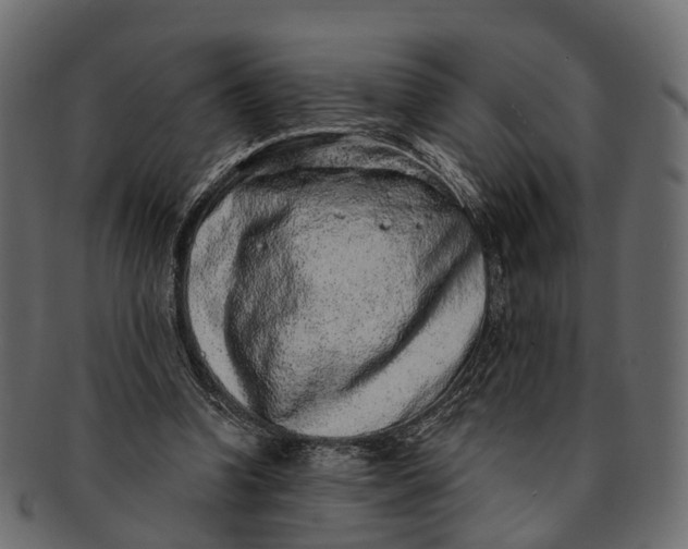 X0000091560346200709071132