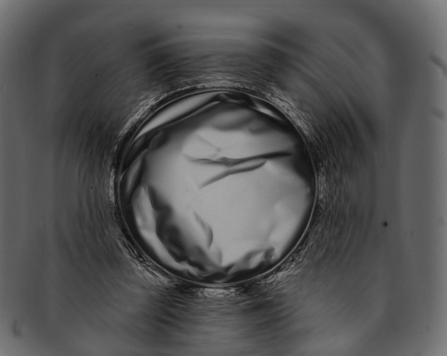 X0000091560347200709071132