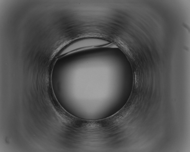 X0000091560348200709071132