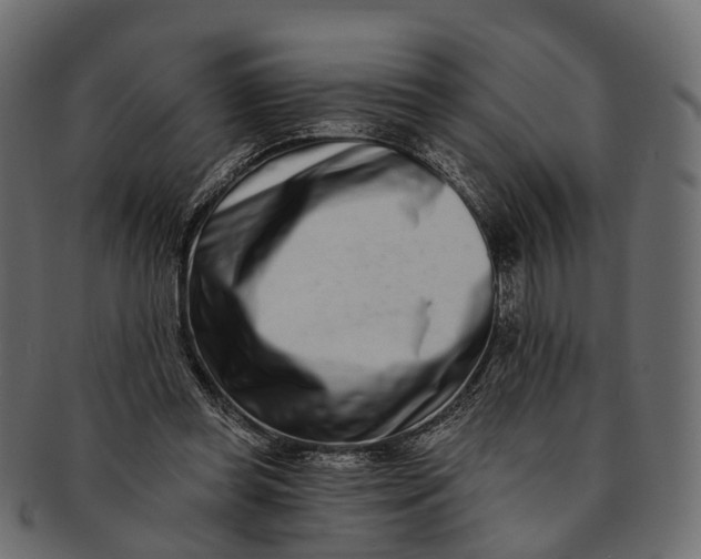 X0000091560349200709071132