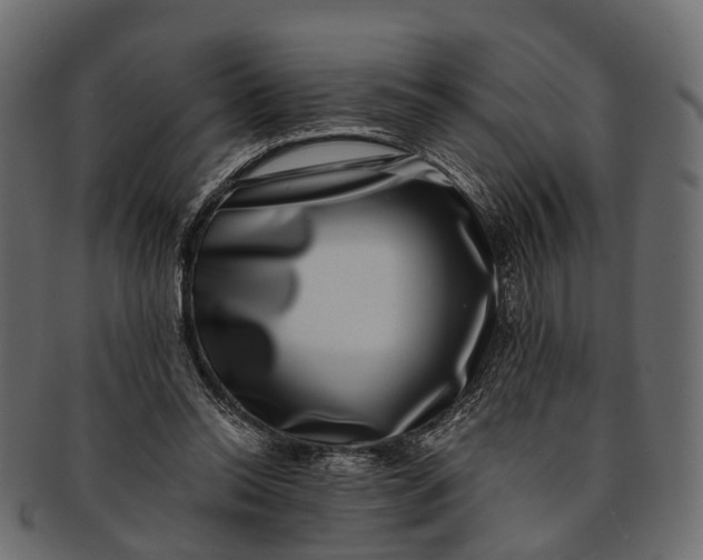 X0000091560350200709071132