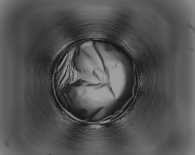 X0000091560351200709071132