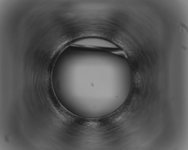 X0000091560352200709071132