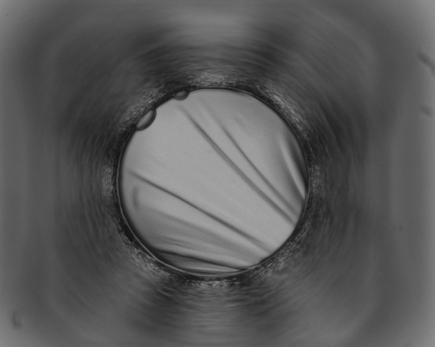 X0000091560353200709071132