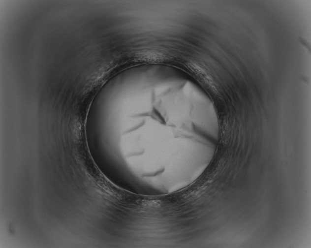 X0000091560355200709071132