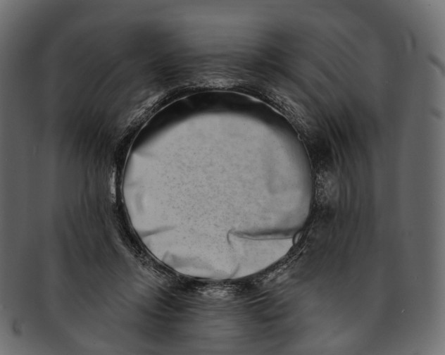 X0000091560358200709071132