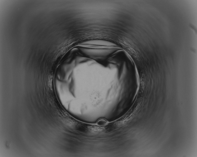 X0000091560359200709071132