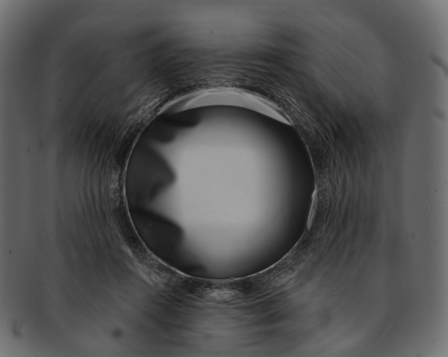 X0000091560360200709071132