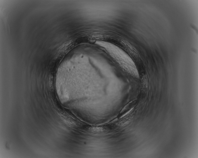 X0000091560361200709071132