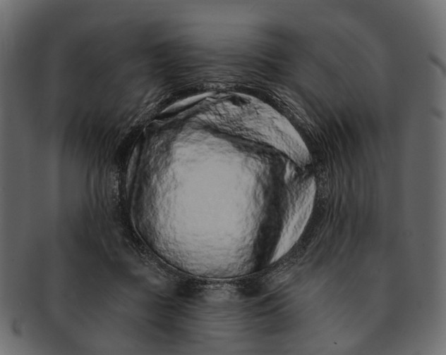 X0000091560363200709071132