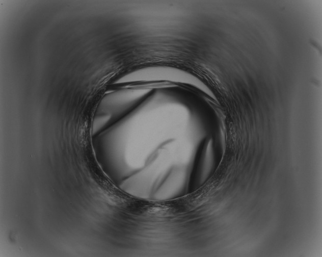 X0000091560364200709071132