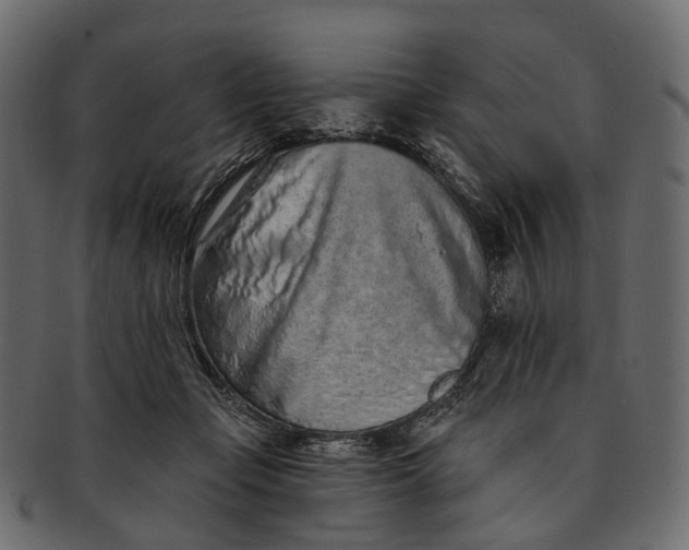 X0000091560365200709071132