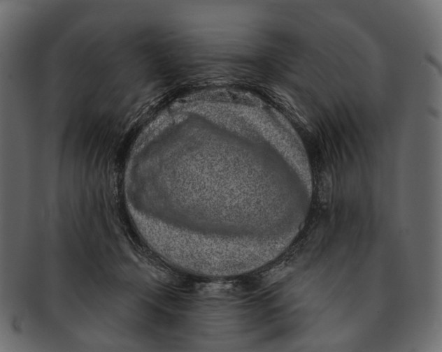 X0000091560366200709071132