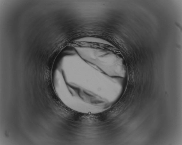 X0000091560367200709071132