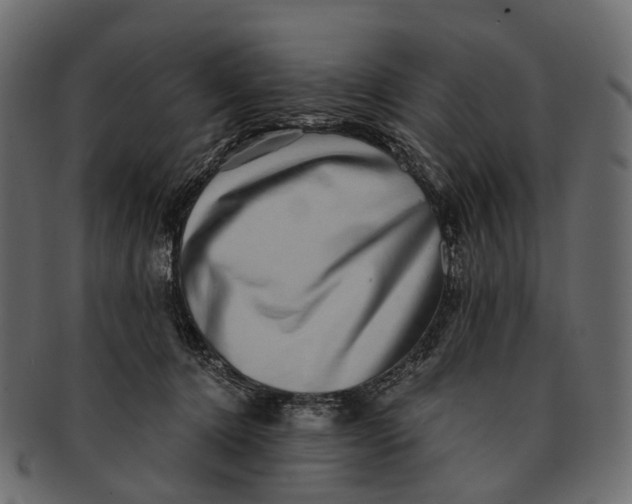 X0000091560368200709071132