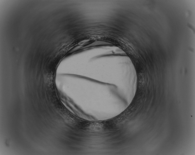 X0000091560369200709071132