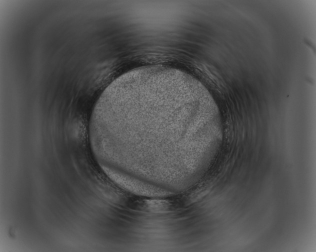 X0000091560371200709071132