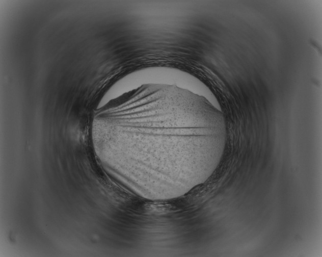 X0000091560372200709071132