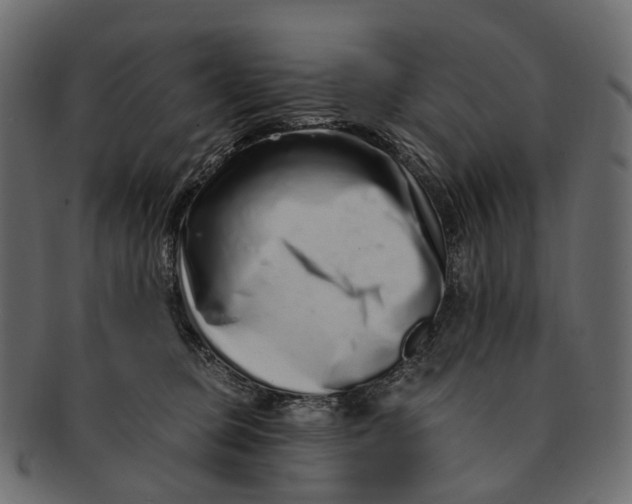 X0000091560373200709071133