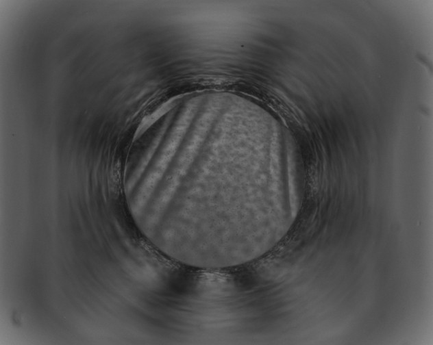 X0000091560376200709071133