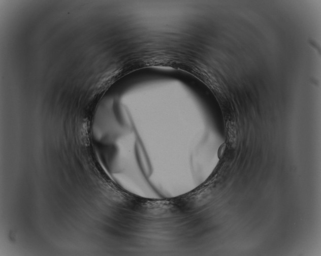 X0000091560378200709071133