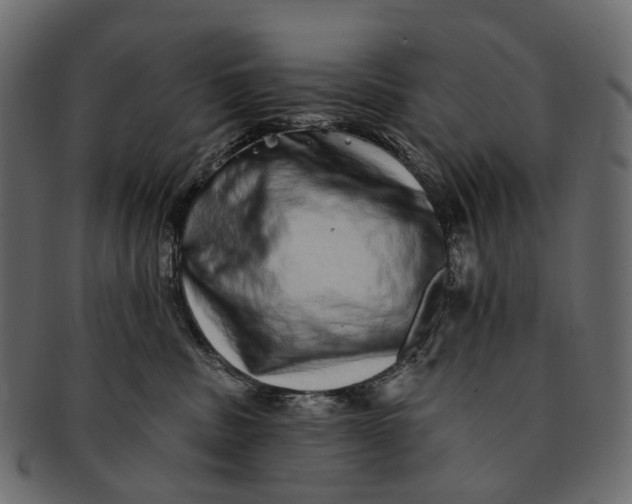 X0000091560379200709071133