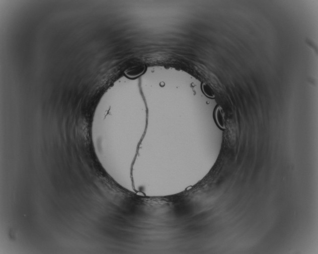 X0000091560380200709071133