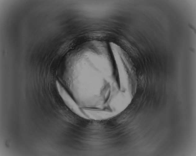 X0000091560381200709071133