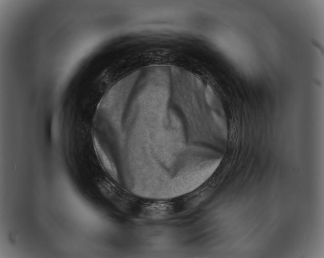 X0000091560383200709071133