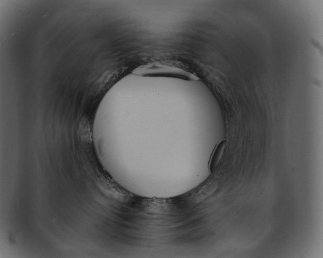 X0000091560384200709071133