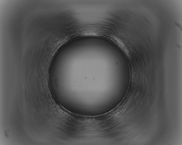 X0000091560385200709071132