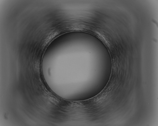 X0000091560386200709071132