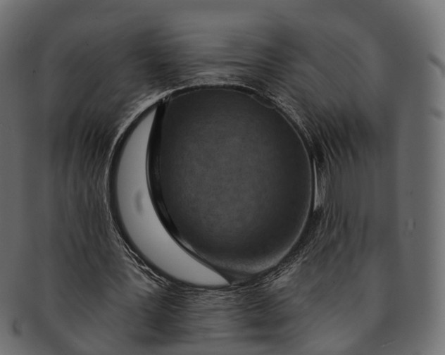 X0000091560387200709071132