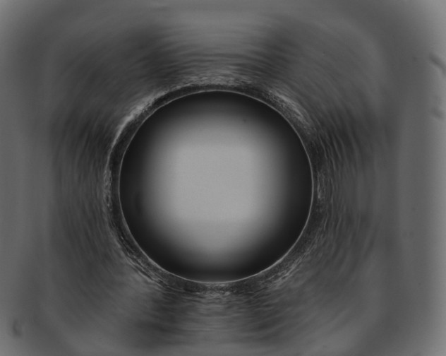 X0000091560388200709071132