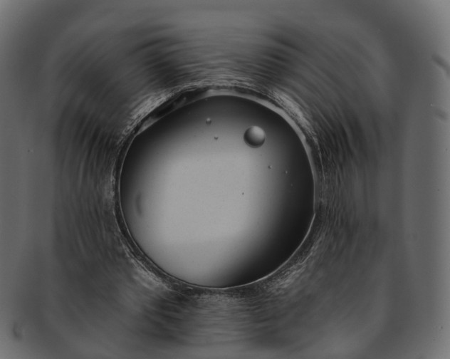 X0000091560389200709071132