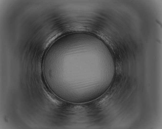 X0000091560390200709071132