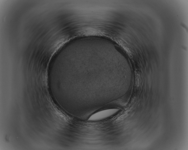 X0000091560391200709071132