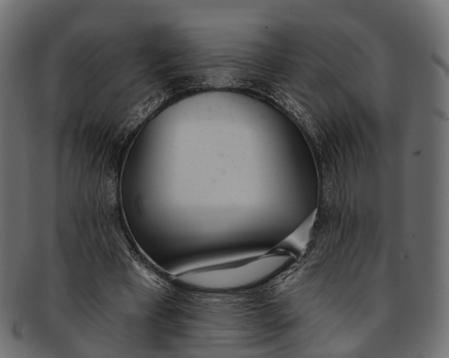 X0000091560393200709071132