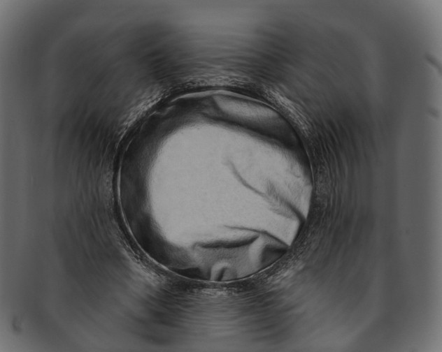 X0000091560394200709071132