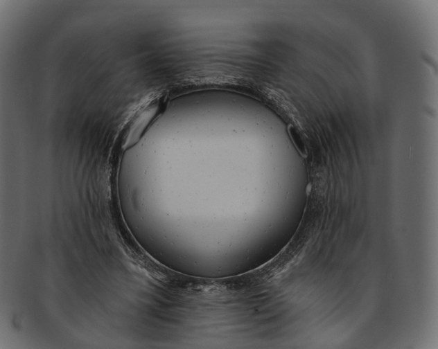 X0000091560395200709071132