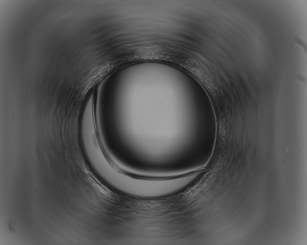 X0000091560397200709071132