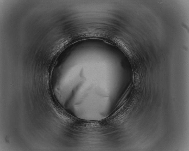 X0000091560398200709071132