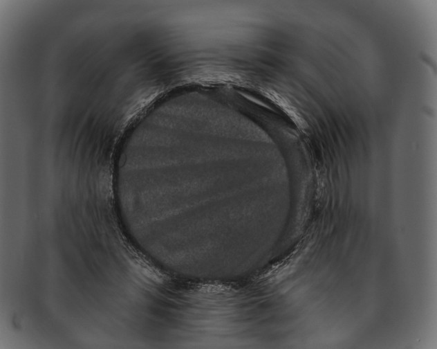 X0000091560399200709071132