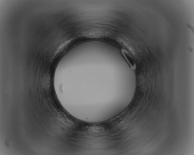 X0000091560400200709071132